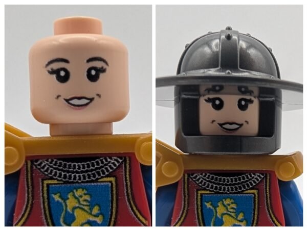 Medieval Knight lion crest
