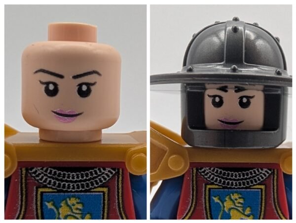 Medieval Knight lion crest